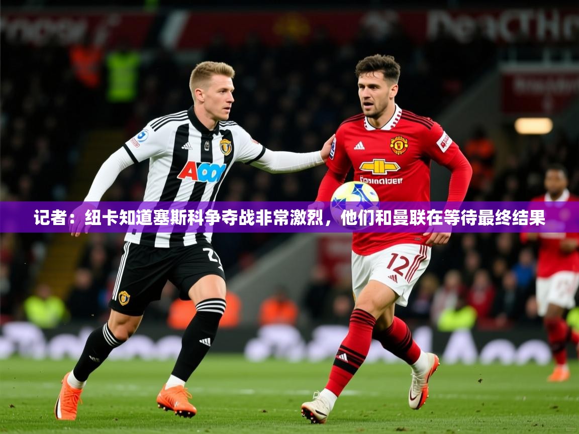 2025乐鱼体育app下载官网(中国)记者：纽卡知道塞斯科争夺战非常激烈，他们和曼联在等待最终结果  第4张