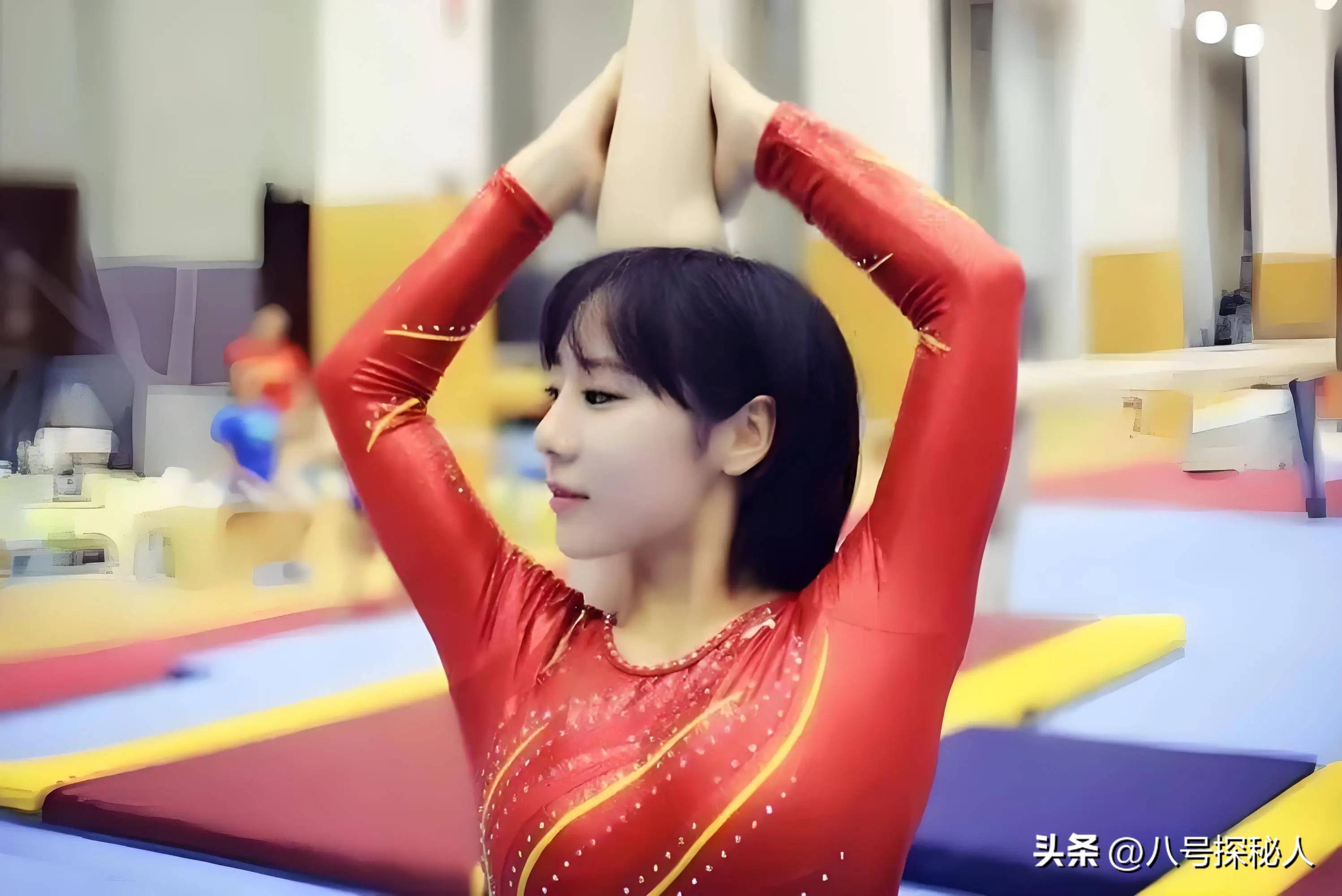 体操选手舞动身姿，赢得观众无数掌声的简单介绍
