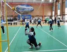哈尔滨冰城队遇困难，全队齐心协力应对难关的简单介绍